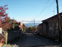 telavi (18)